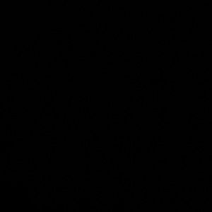 Biaggi CARRY ON + CHECK IN Luggage, tote & cubes